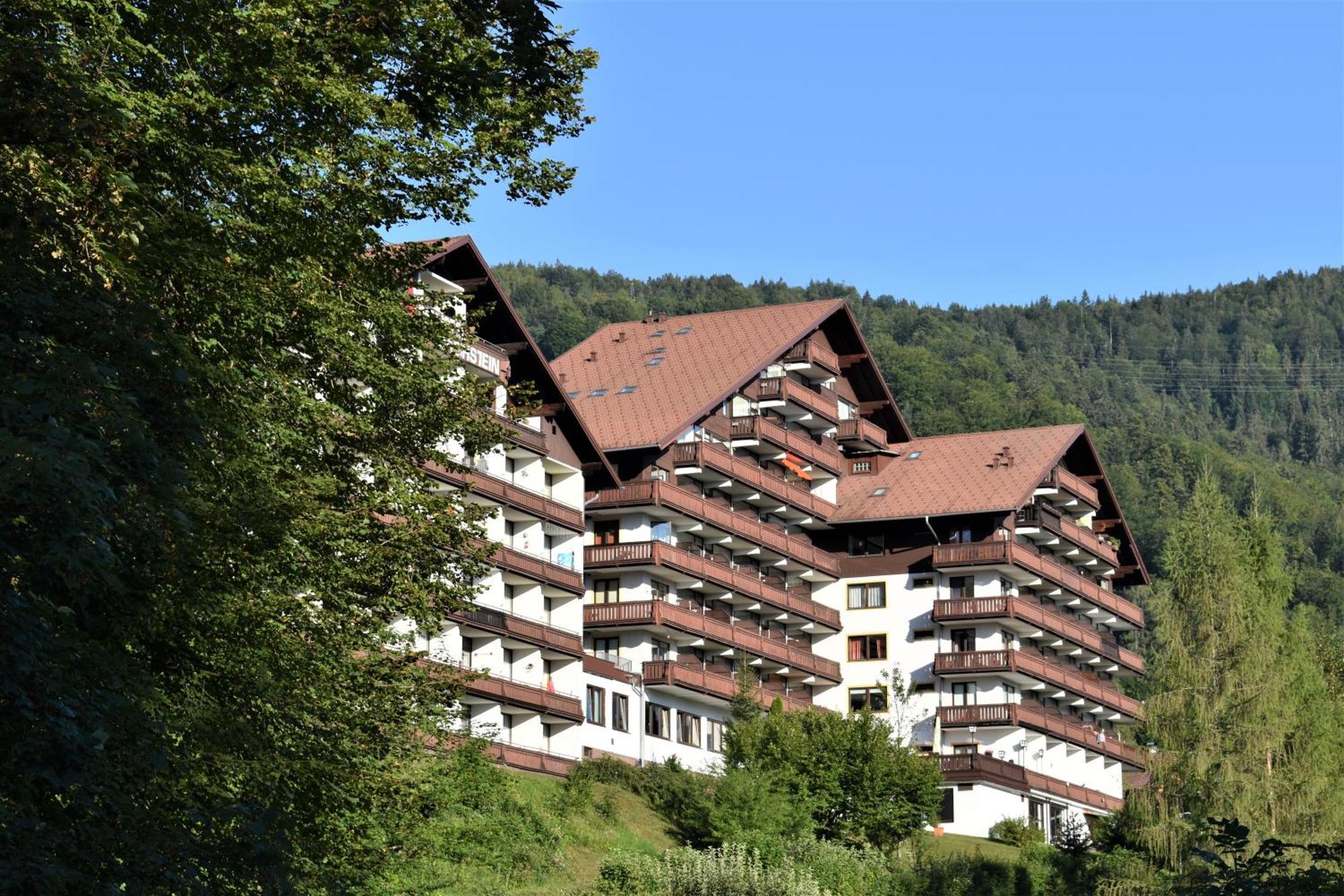 Apartment D 'Freizeit Bad Goisern Exterior foto